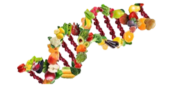 Mascia Venturino Biologa Nutrizionista